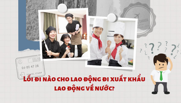 lao_dong_sau_khi_ve_nuoc