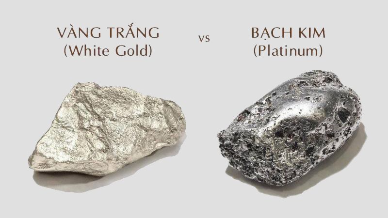 phân biệt bạch kim và platin