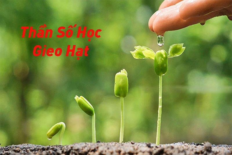 Thần số học gieo hạt