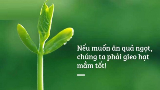 Gieo hạt thần số học